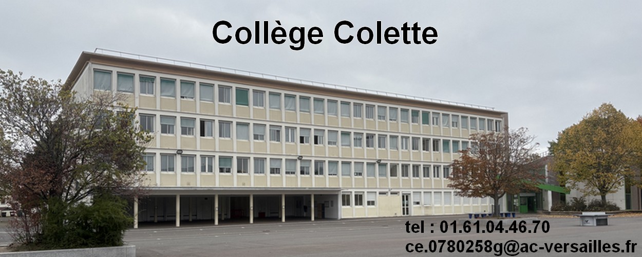 Collège Colette Sartrouville